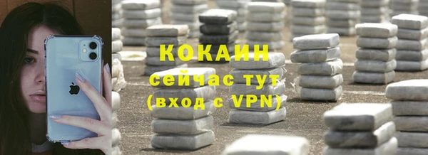 амф Новозыбков