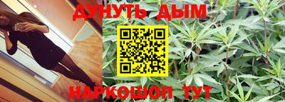 Альфа ПВП Аргун