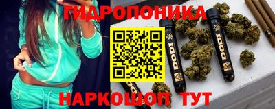 Альфа ПВП Аргун