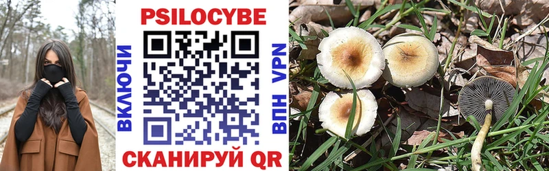 цены   Конаково  blacksprut ссылка  Галлюциногенные грибы Cubensis 