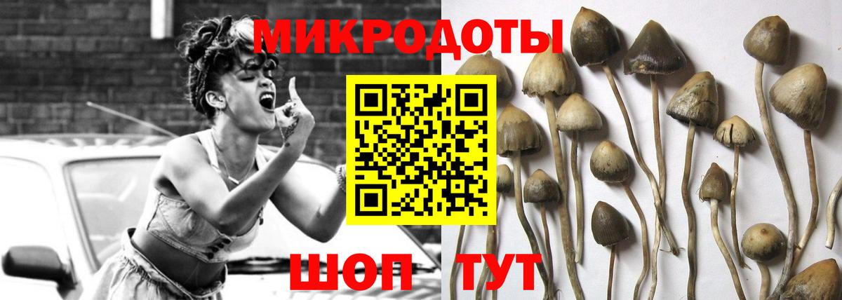 Конаково  Псилоцибиновые грибы ЛСД  Галлюциногенные грибы мицелий  Вход с VPN 